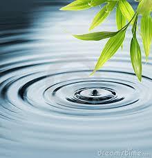 Oefening Het Principe van Water: o Calm your mind (Xin Ji) o Hard Power vs Soft Power o
