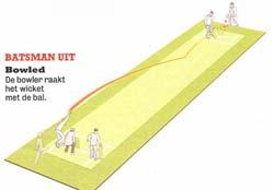 Cricket is een balsport waarbij punten (runs) worden gescoord door heen en weer te lopen over de cricket pitch. De pitch is ongeveer 2,5 bij 25 meter en ligt in het midden van een groot grasveld.
