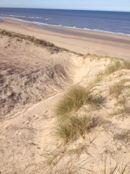 Links: Kuil 1 vanaf rechterzijde richting strand. Rechts: Overstuiving over de achterkant van kuil 1. Activiteit is hier sterk toegenomen.