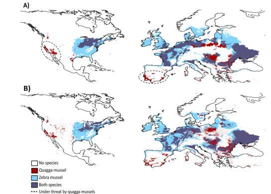 Species distribution