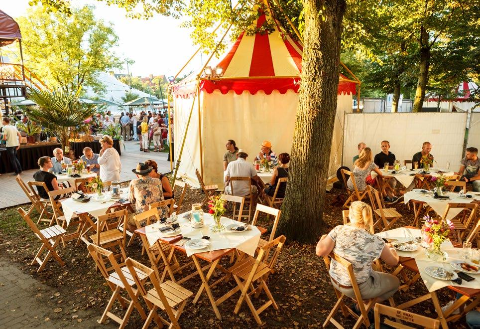 Dat Zomerparkfeest het mooiste