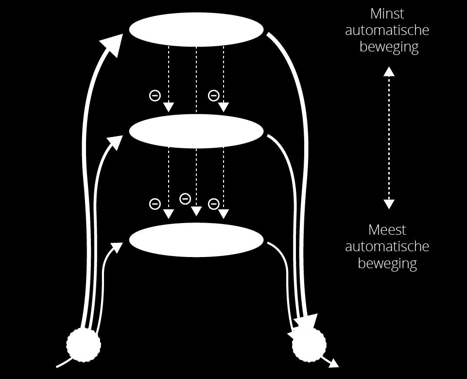 Fylogenetisch hiërarchisch model; archi-, paleo- en neoniveau Voorbeelden Lachen bij