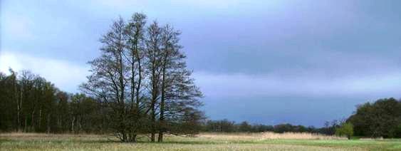 OBN op landschapsschaal Werken aan: