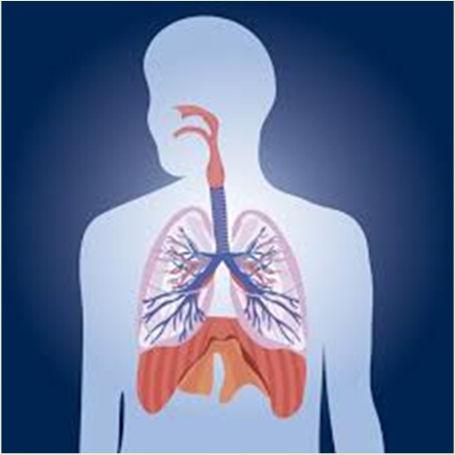 Achtergrond Lage luchtweginfectie (LLWI) -> onder stembanden Tracheïtis, acute bronchitis/bronchiolitis, pneumonie Op basis van anamnese, lichamelijk onderzoek en/of lab, geen onderscheid te maken