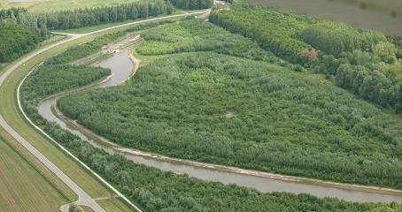 hoe belangrijk groen is, wat CO2 en fijnstof is, hoe bomen daarin helpen In het bos verschillende bomen met bordjes welk soort en