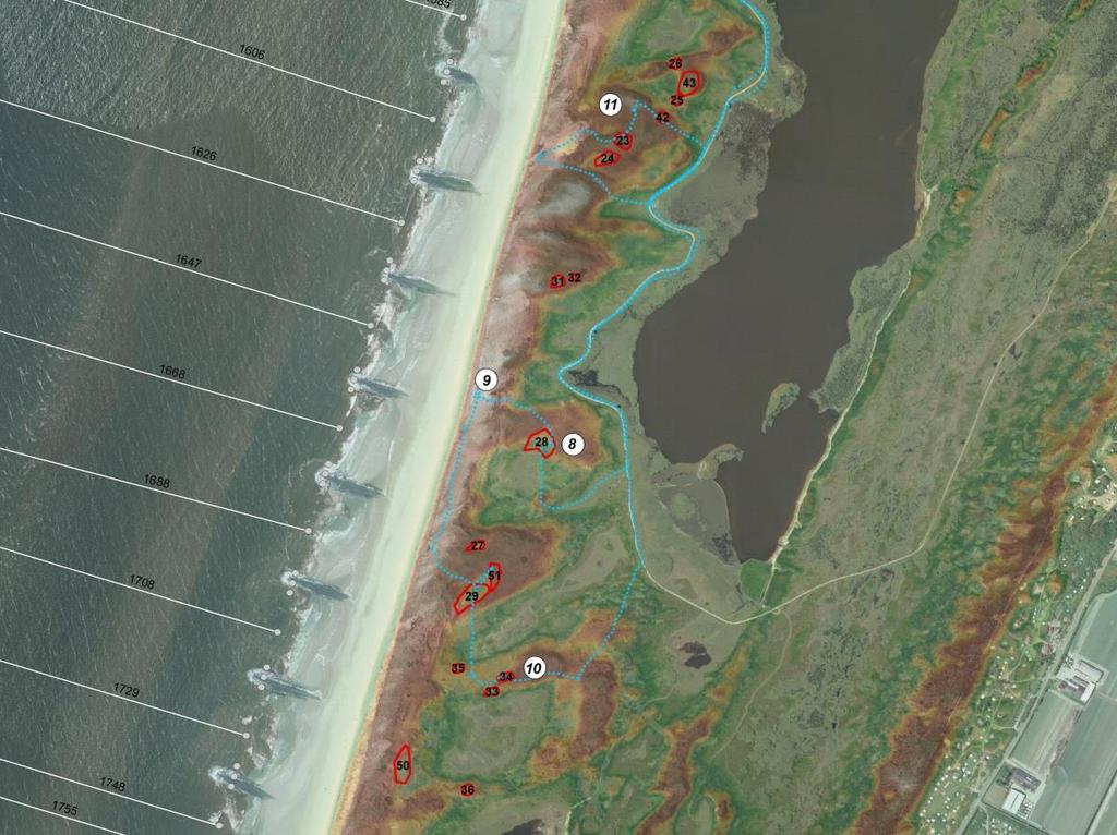 bevordering van de kleinschalige dynamiek niet zinvol, omdat dit niet in het huidige landschap past en geen meerwaarde biedt ten opzichte van een aantal kleinere kale plekken.