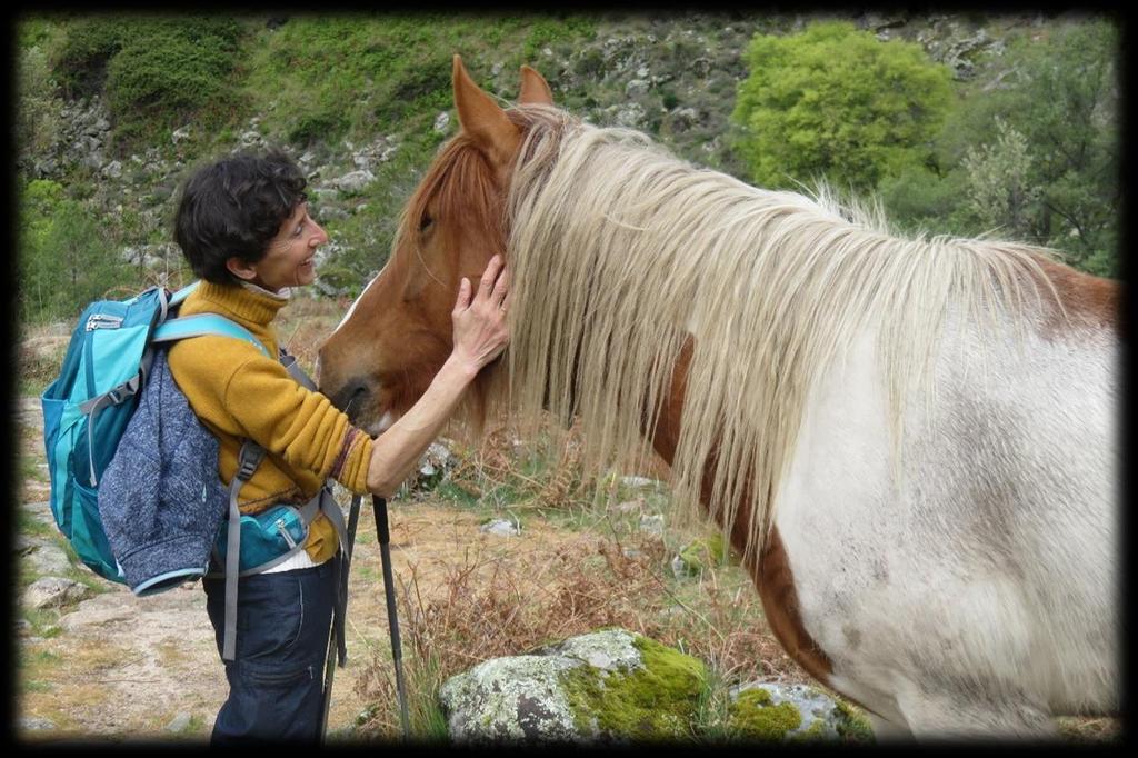 paard waar Marie-Paule