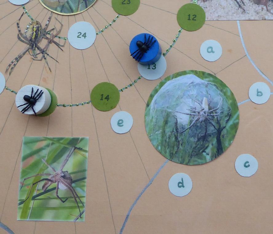 Een ander voorbeeld. De groene spin is op rondje 13 gekomen. In de spelregels staat: Deze kraamwebspin heeft hard gewerkt om een mooi afdakje te maken voor haar spinnenkinderen! Ze zorgt goed voor ze.