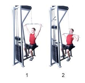 Pulldown of Chin-up 2 10