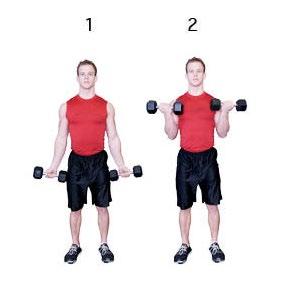 Dumbbell Row Cardio