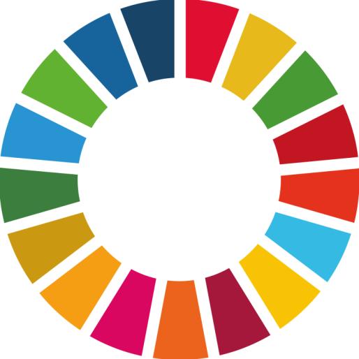 Kernboodschappen Agenda 2030 Inclusief: leave no one behind Universeel