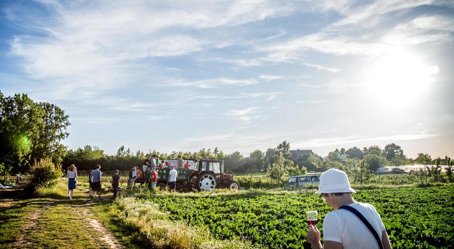 Gespreksronde Eerst terugblikken op de reportages Documentaire van Hart boven Hard en Mo* Videoclips van Foodwise (Boer zoekt toekomst)