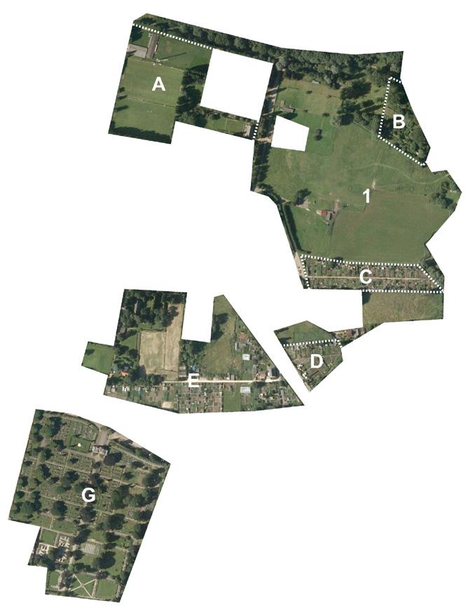 Gebruik De meerderheid van de bevraagde bezoekers blijkt het hele groengebied te bezoeken (86%). Ongeveer % van de bezoekers komt specifiek voor een bepaalde cluster volkstuinen.