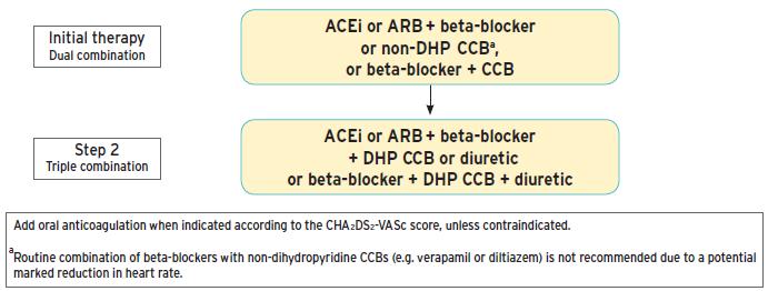 comorbiditeiten Behandelingsstrategie hypertensie patiënt + voorkamerfibrillatie ACE- of sartaan + bètablokker of non-hdp Ca-antagonist, of bètablokker + Ca-antagonist ACE- of sartaan + bètablokker +