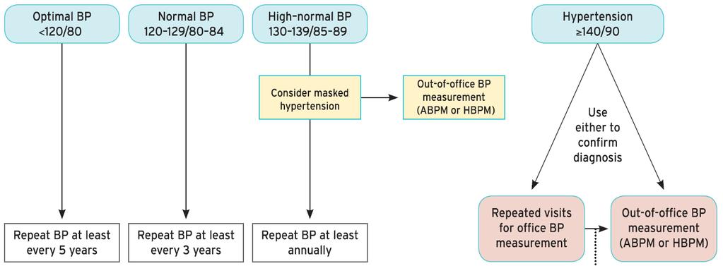 DAGNOSE SCREENNG & DAGNOSE Optimale BD <120/80 Normale BD 120-129/80-84 Hoog-normale BD 130-139/85-89 Hypertensie 140/90 Overweeg gemaskeerde hypertensie Ambulante BD meting (ABPM of HBPM) Gebruik