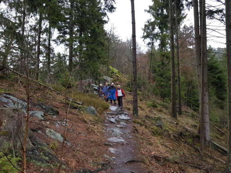 En de mossen waren op hun best. Zondag 17 maart 2019: Lentewandeling Wurmvallei (Kohlscheid D) Het was op en top genieten van deze eerste lentewandeling.