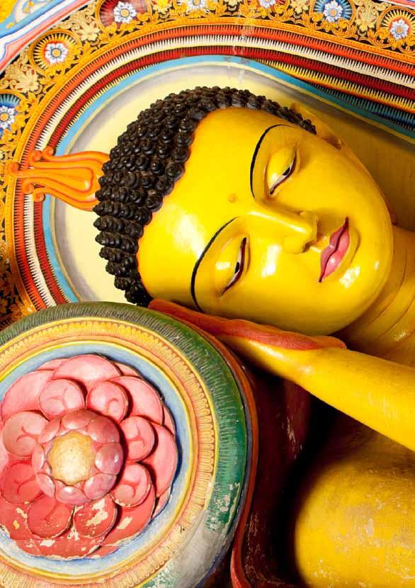 8 Boeddhisme Het boeddhisme heeft zich geleidelijk over Azië uitgespreid en speelde een centrale rol in de spirituele, culturele en sociale ontwikkeling van de oosterse wereld.