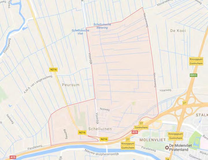 4.2.8 Schelluinen Meer recentelijk is westelijk van de Schelluinse Vliet een langgerekte woonbuurt gesticht aan de Roerdompstraat. Deze woonbuurt bestaat vooral uit vrijstaande woningen.