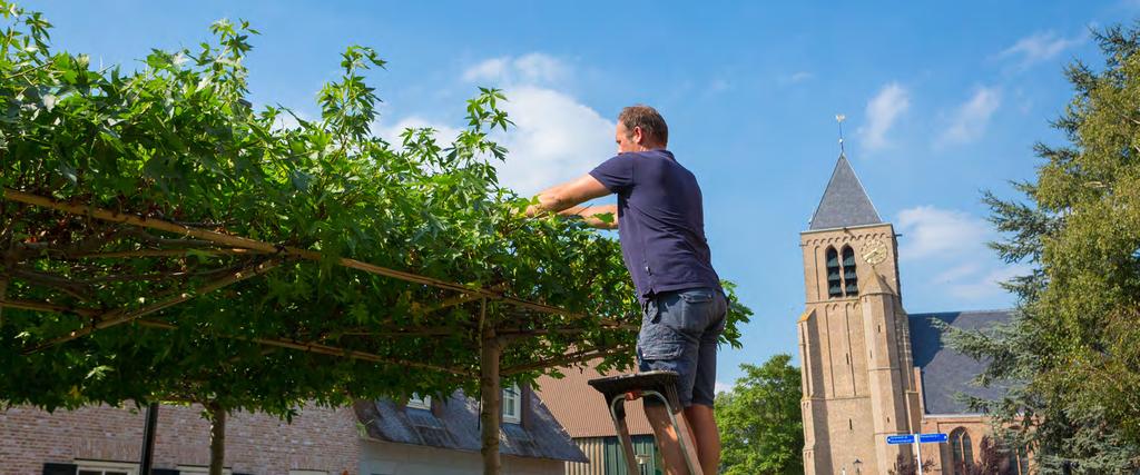 HET VERVOLG 6 In de voorgaande hoofdstukken is de visie en het uitvoeringsprogramma opgenomen.