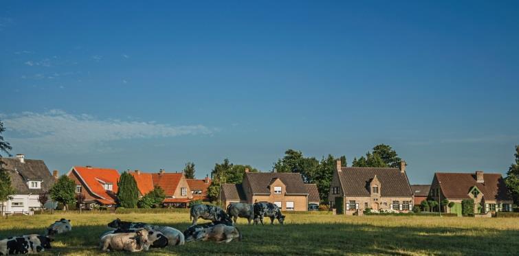 TOESTAND VAN URBAN SPRAWL IN