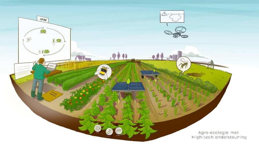 Op naar de toekomst Monocultuur kent een eeuw aan optimalisatie Een verandering in het systeem is