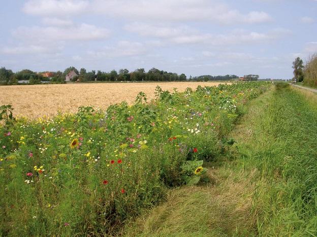 Diagnose De kosten en baten van bodembeheer verschillen van elkaar in tijd en ruimte: De kosten gaan ver voor de baten