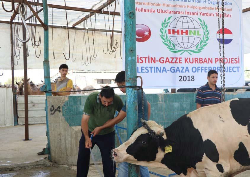 2018 QURBANPROJECTEN In totaal zijn er 15.