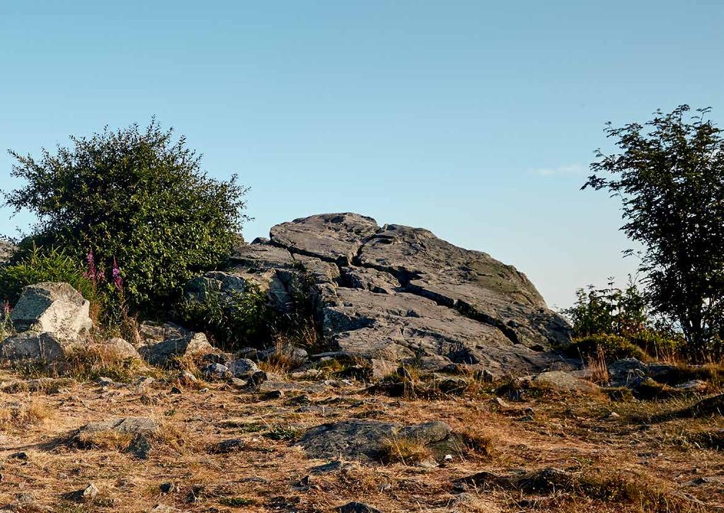 LIFE ROCKS Het leven is wat u ervan maakt. Het is de som van uw beslissingen. Het is dus geweldig dat u een goede keuze hebt gemaakt.