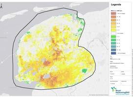 In het midden en zuidwestelijk deel daalt de grondwaterstand ten opzichte van het NAP, terwijl er in het noorden en het zuidoosten een lichte stijging is van de grondwaterstand.