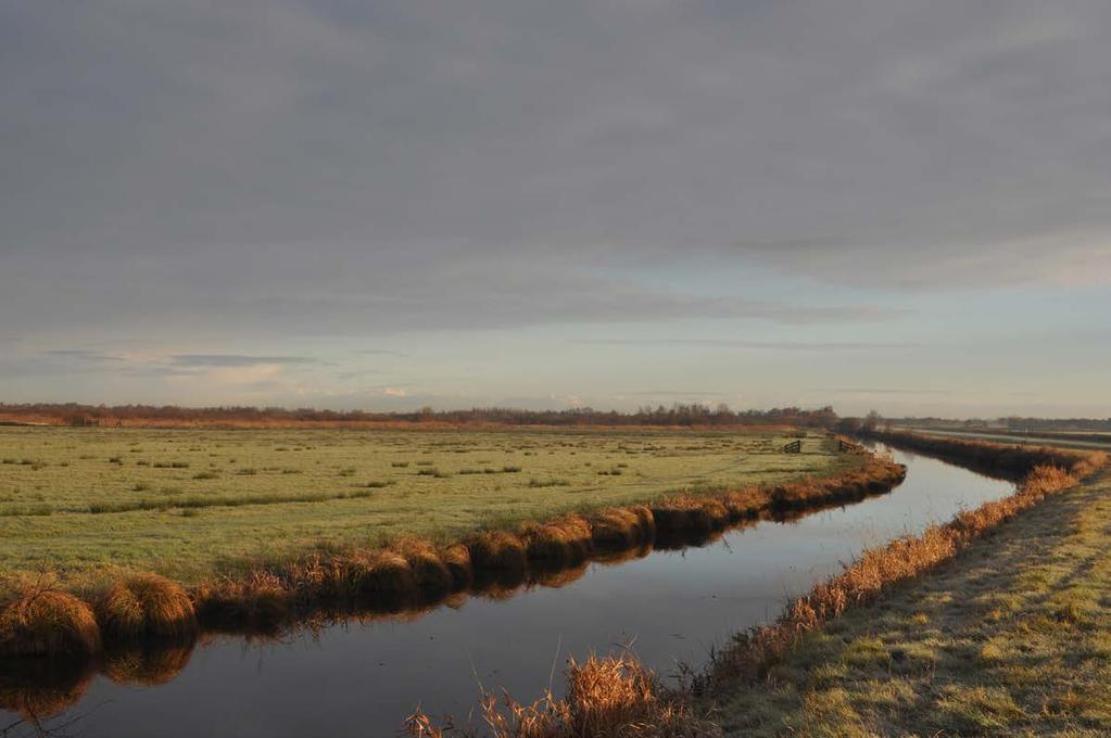 Fryske Feangreidegebiet bij de Deelen Vervolg De komende maanden ronden we in samenwerking met Wetterskip Fryslân en Vitens de Strategische Grondwater-studie af.