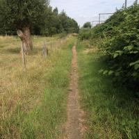 Wandelpad "Van station Schulen naar Beckersvaart" Het door onze vereniging aangelegde pad van station Schulen naar de Beckersvaart wordt ondertussen goed gebruikt een bewijs te meer dat een pad