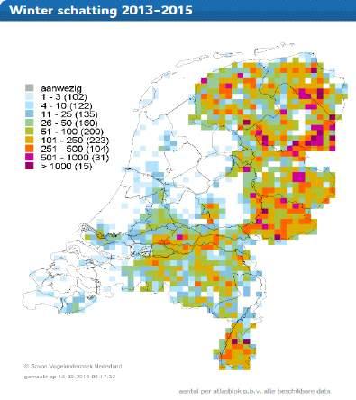 Figuur 222. Verspreiding van de roek als broed- en als niet-broedvogel in Nederland (bron: www.sovon.nl) 11