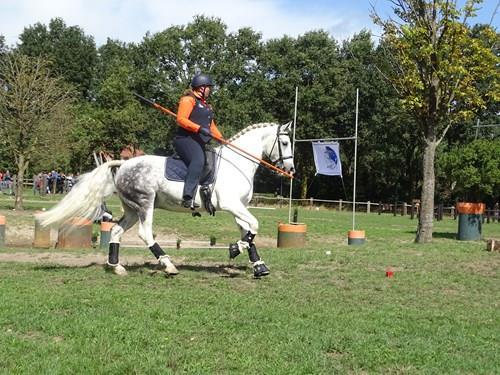 Working Equitation: Tijdens de Outdoor Kampioenschappen in Zijtaart wordt een workshop gegeven in deze eveneens relatief nieuwe discipline.