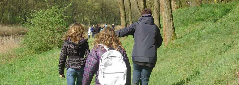 Buitenles groep 8 De kinderen bouwen een insectenhotel voor bijen en zoeken de verschillen tussen de leefwijze van de wilde bij en de honingbij. De kinderen gaan op bezoek bij een imker in de stad.