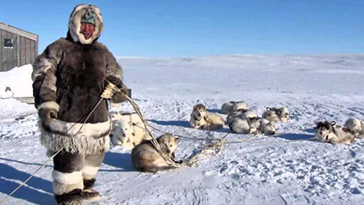 Met taal zijn we bezig met het thema Eskimo s