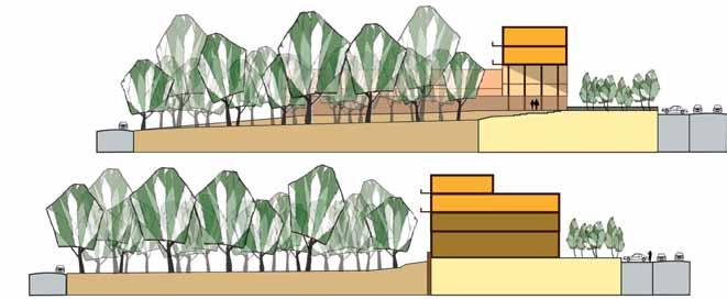 Omgeving Witte Woningen Beeldkwaliteit en herstructurering buitenruimte revitaliseren tuinwijk in Venlo De Witte Woningen in Venlo-Oost zijn opgezet volgens de principes van een tuinwijk.