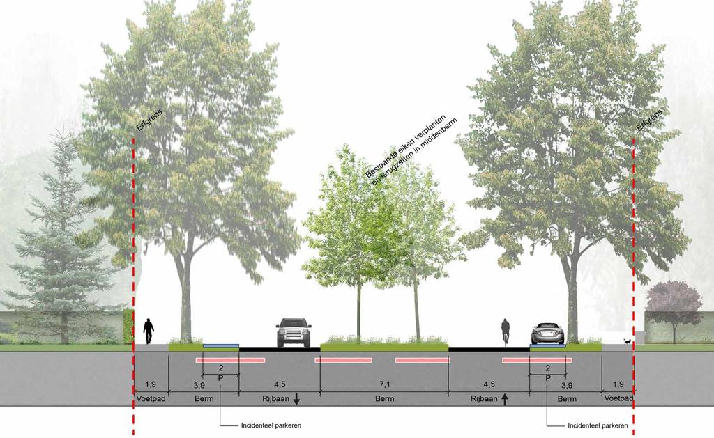 Profiel optie 1: Variant 7b Twee keer éénrichtingsweg 1 2x1 rijbaan, 1-richting verkeer, fietsers op de rijbaan