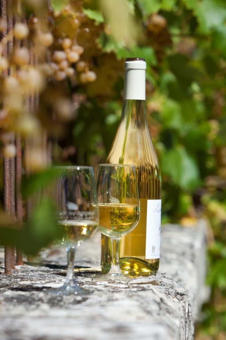 Gastronomische wijnen : Wit: Viognier 6,2% Grenache Blanc