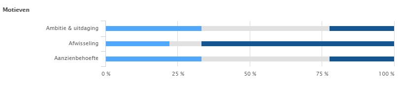 3. Grafisch teamoverzicht van de drijfveerscores