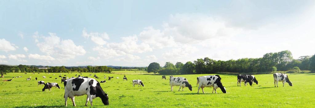 Tegenwoordig is er veel discussie over het optreden van antibioticaresistentie en de zorgvuldige toepassing van antibiotica in zowel de humane als de veterinaire geneeskunde.