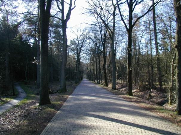 hiërarchische opbouw met bijbehorende kenmerken van de