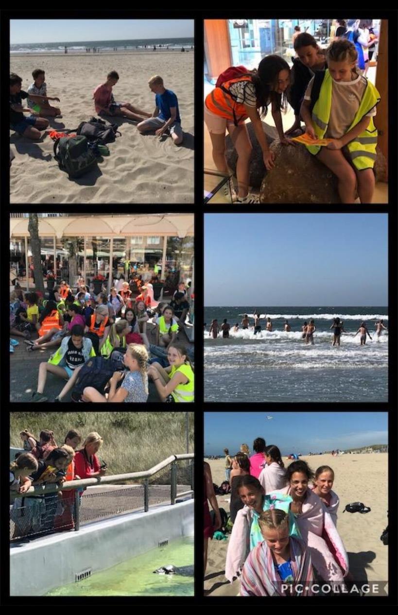 Kamp groep 8 De groepen 8 zijn van woensdag 27 t/m vrijdag 29 juni op kamp (geweest) naar Texel.