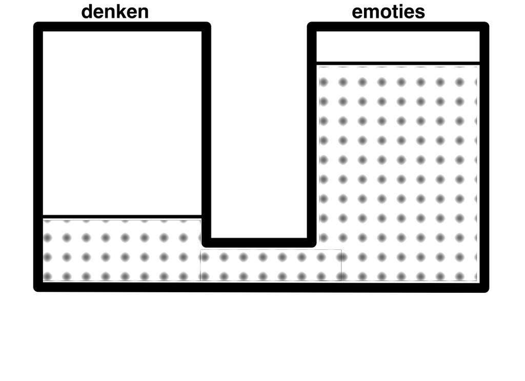 Antwoord Hoge emoties maken het