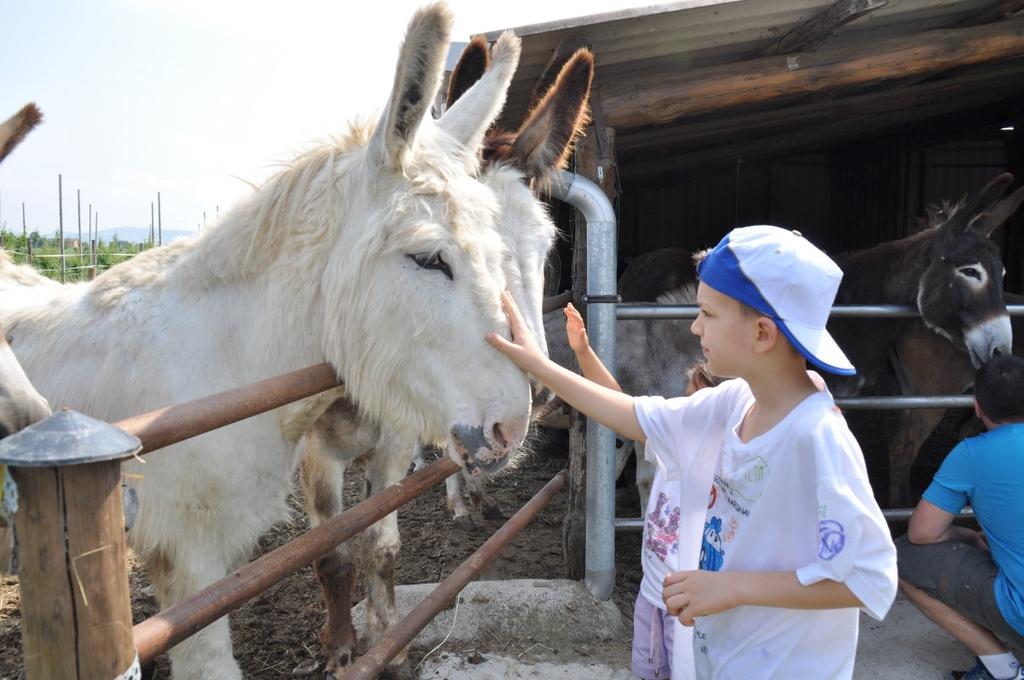 Kleuters (geboortejaar 2013 en 2014) Jongeren (eerste tot zesde leerjaar) Doe-mee Boerderij t Groenhof Cauwenberglei 46, Pulle Maandag 15 en dinsdag 16 april telkens van 9 tot 17 uur 20 euro voor