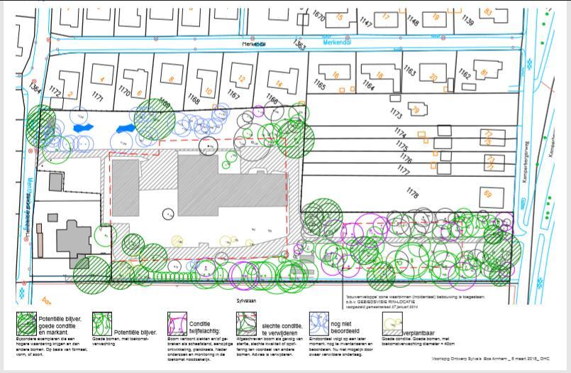 In het plangebed staat een aanzienlijk aantal bomen met (ernstige) gebreken. Denk hierbij aan gebroken kroondelen, holtes of scheuren in de stammen en/of heftige scheefstand.