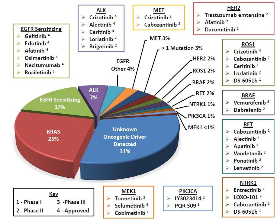 Adenocarcinomas, Targets and Therapy 12 of these agents are approved by EMA Tsao AS et al.