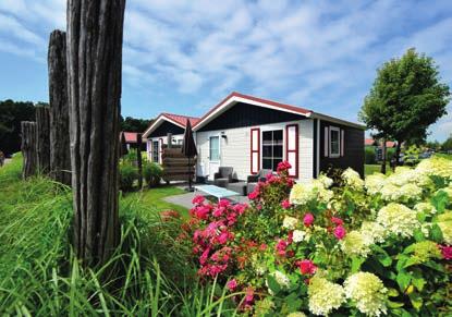 babyledikant en een romantische bedstee Direct onderaan de duinen vindt u onze vakantiewoning In de chalets ontbreekt het u niet aan comfort! De chalets kussens en eenpersoonsdekbedden.