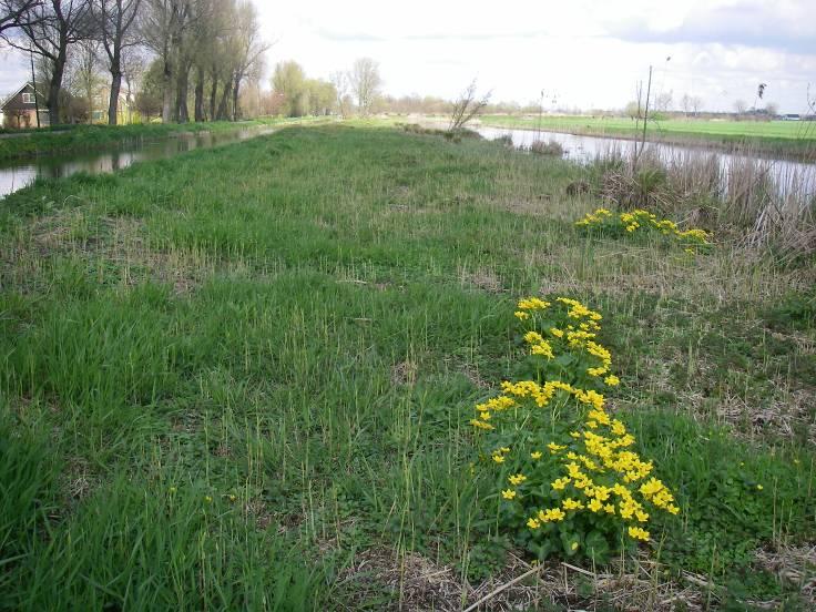 achtergrond Wagendijk.