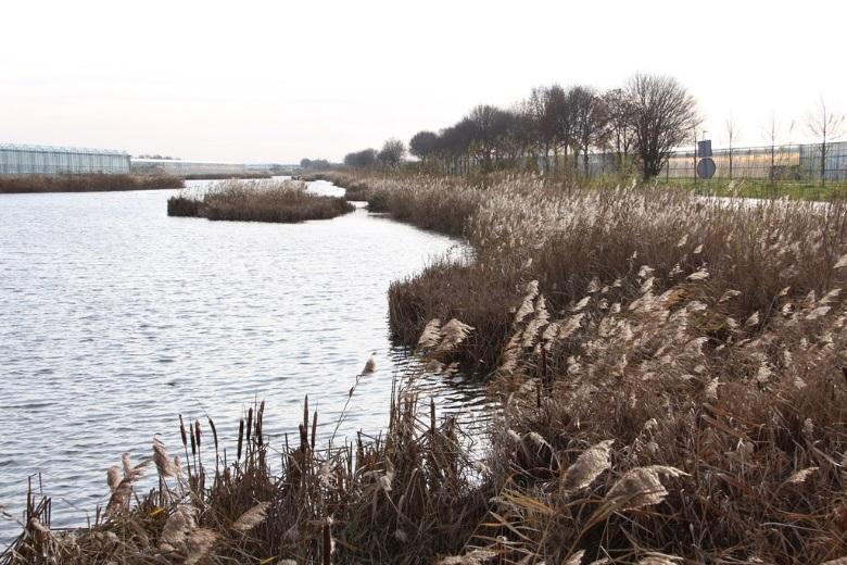 overgang kent en in zijn geheel kan worden ingericht met deels nat kruidenrijk grasland.