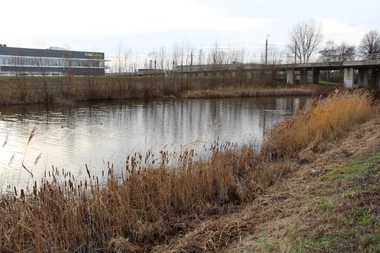 grasland inclusief het bijbehorende gewenste beheer.